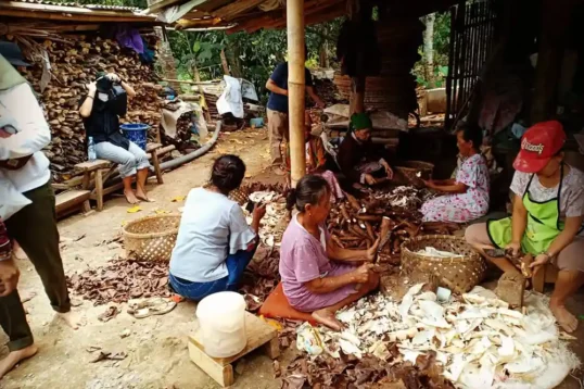 Inspirasi Ketahanan Pangan Satu Abad dari Kampung Cireundeu @visitcireundeu - 2
