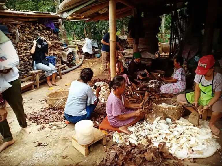 Inspirasi Ketahanan Pangan Satu Abad dari Kampung Cireundeu @visitcireundeu - 2