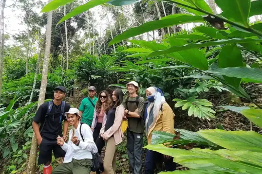 Hutan Lindung di Desa Banjaran Pesawaran Agroforestri untuk Pendidikan dan Ketahanan Pangan - Yopie Pangkey